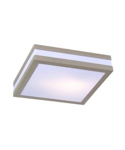Bathroom Square Ceiling Light 28.5 cm Stainless Steel