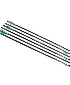 Benjamin Airbow 250 Arrows 6Pack - AB6PKA