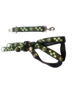 Big Dog Leash With Harness - Green