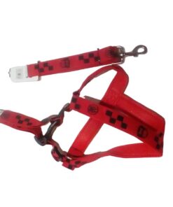 Big Dog Leash With Harness - Red