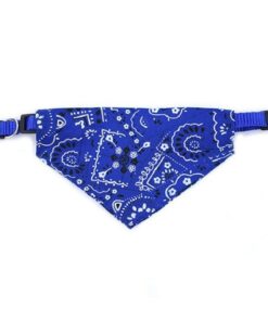 Blue Adjustable Dog Bandana Collar - S