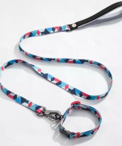Blue Candy Dog Collar and Leash - M