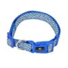 Blue Patterned Adjustable Dog Collar - S