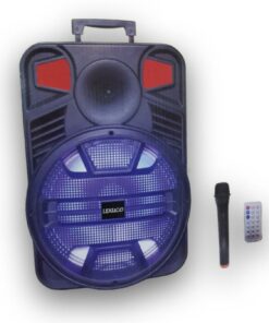 Bluetooth Party Speaker