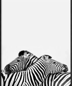 Boluo 240g Quality Nordic Framed Wall Art - You Are Not Alone (Zebras)