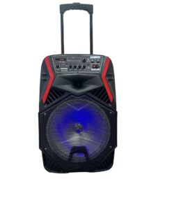 Bondsonic 12" Portable Karoake Speaker Trolley MIC-0128