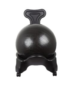 Boss Comfort Ergonomic, Stability Office & Home Ball Chair With Backrest