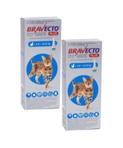 Bravecto Cat Plus Medium 2 Pack