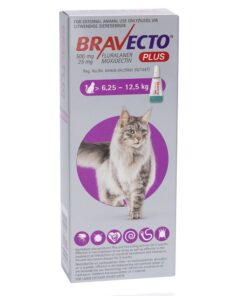 Bravecto Plus for Large Cats 6.25 - 12.5KG
