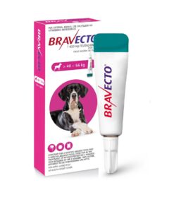 Bravecto Tick & Flea Spot-On Dog Extra Large >40 - 56kg (Pink box)
