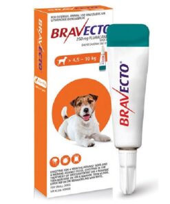 Bravecto Tick & Flea Spot-On Dog Small >4.5 - 10kg (Orange box)
