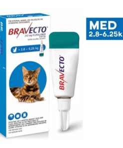 Bravecto Tick & Flea Spot On for Cats - Medium