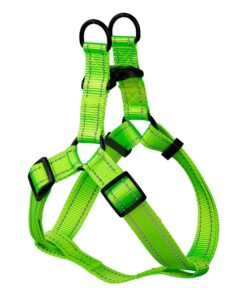 Bright Nylon Dog Harness - Green - S