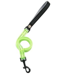 Bright Nylon Dog Lead with Black padded Handle - Green - M