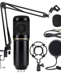 Broadcasting And Recording Microphone M800 PK