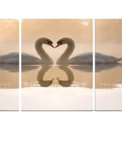 Brown, Grey Swan Cotton Canvas cm Home Decor Wall Art