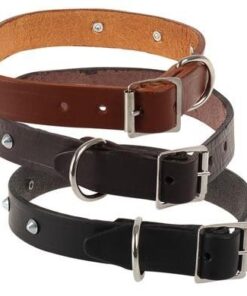 Bulk Pack 5x Pet Dog-Collar Leather Rivetted 25mm