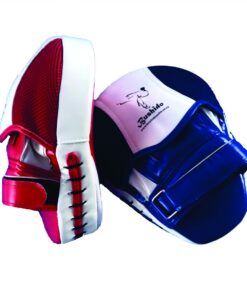 Bushido Focus Pads (Mitts) - Blue