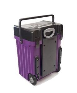 Cadii School Bag - Black Lid with Purple Body