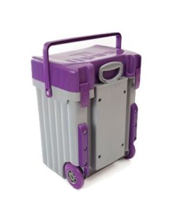 Cadii School Bag - Purple Lid with Grey Body