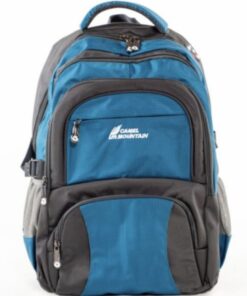 Camel Mountain Backpack - Blue/Grey