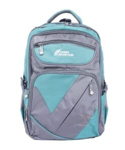 Camel Mountain Backpack - Gray/ Green