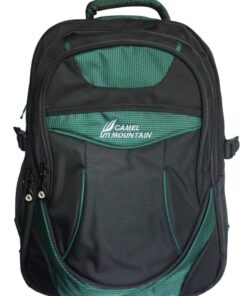 Camel Mountain Backpack - Green