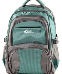 Camel Mountain Backpack - Green - Gray