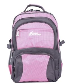 Camel Mountain Backpack - Pink / Gray