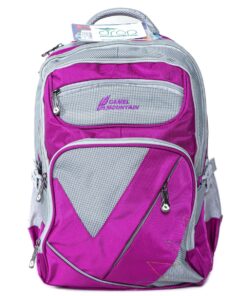 Camel Mountain Backpack - Purple / Gray