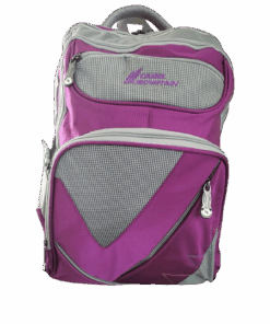 Camel Mountain - Laptop School Backpack - Purple, Grey
