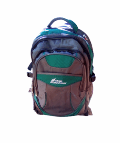 Camel mountain school backpack bag- Grey & green