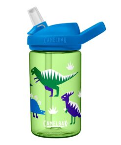 Camelbak Kids Eddy+ 400ml "Argh Matey" - Hip Dinos