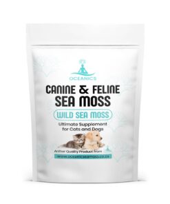 Canine & Feline Sea Moss Supplement