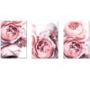 Canvas-Art-3 Pieces Light Pink Peony Flower Deco Wall Art