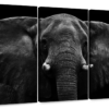 Canvas Art - Elephant Watch 3 Piece Canvas Wall Art Decor