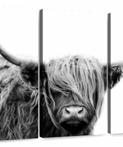 Canvas Art - Field Cow 3 Piece Canvas Wall Art Living Bedroom Decor