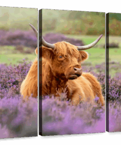 Canvas Art - Highland Cow In Paradise 3 Piece Canvas Wall Art Decor
