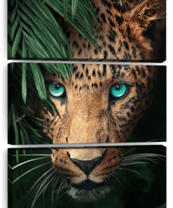 Canvas Art - Leopard Starring 3 Piece Canvas Wall Art Decor
