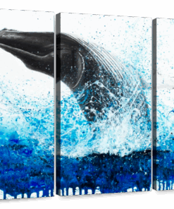 Canvas Art - Nuatical Whale 3 Piece Abstract Painting Canvas Wall Art Decor