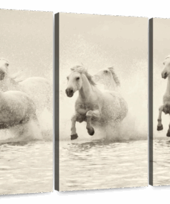 Canvas Art - Water Horses 3 Piece Canvas Wall Art Living Bedroom Decor