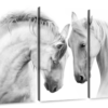 Canvas Art - White Horse Couple 3 Piece Canvas Wall Art Living Bedroom Deco