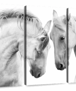 Canvas Art - White Horse Couple 3 Piece Canvas Wall Art Living Bedroom Deco