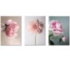 Canvas-Art3 Pieces Dahlia Islamic Pink Flower Decorative Wall Art