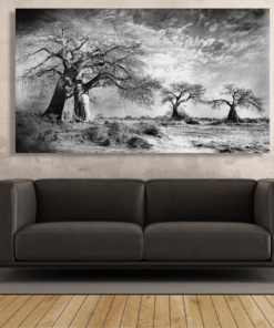 Canvas Wall Art - Baobab Grove Abstract - IM1381