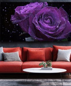 Canvas Wall Art - Celestial Roses - BX0054