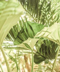 Canvas wall art - Garden salad