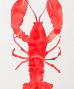 Canvas wall art - Lobster Grace