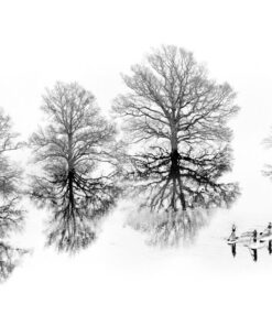 Canvas wall art - Lost