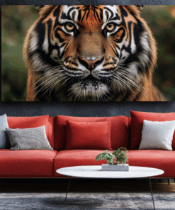 Canvas Wall Art - Tigers Gaze - BX0008